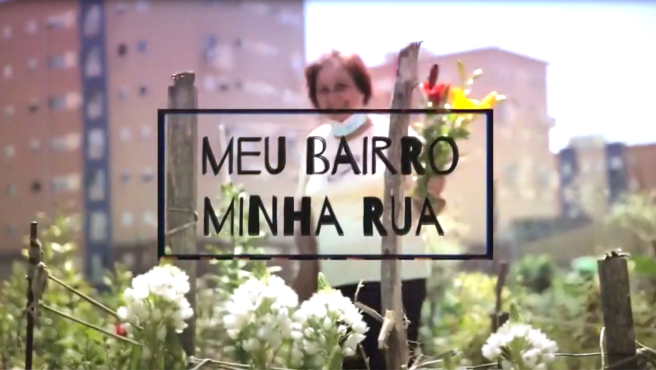 meu-bairro-minha-rua