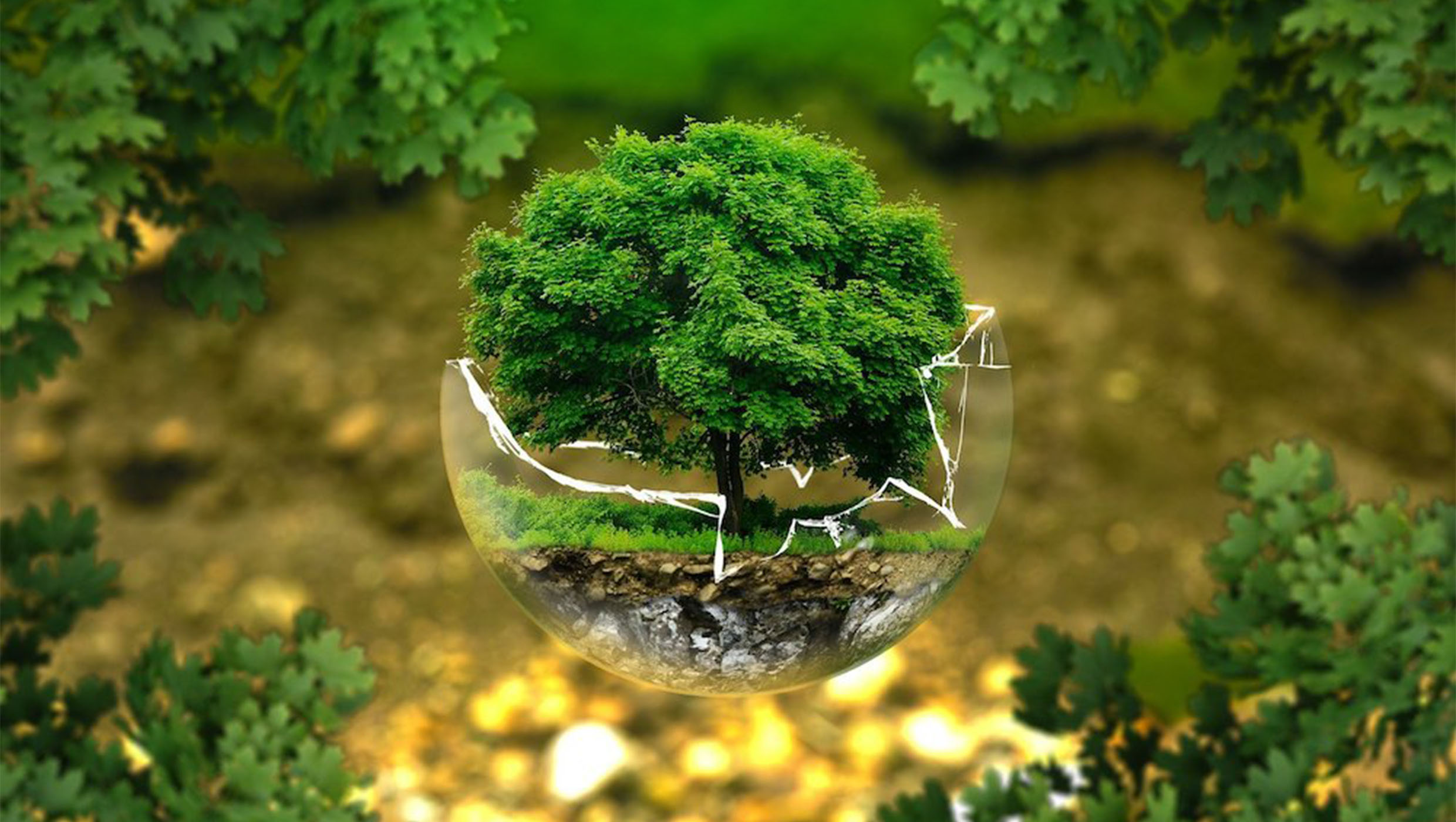 o-impacto-ambiental-publicidade-digital