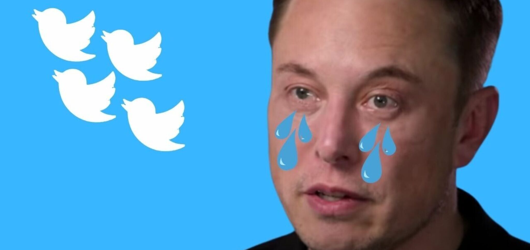a-eu-alerta-que-o-twitter-x-e-a-maior-fonte-de-desinformacao-nas-redes-sociais